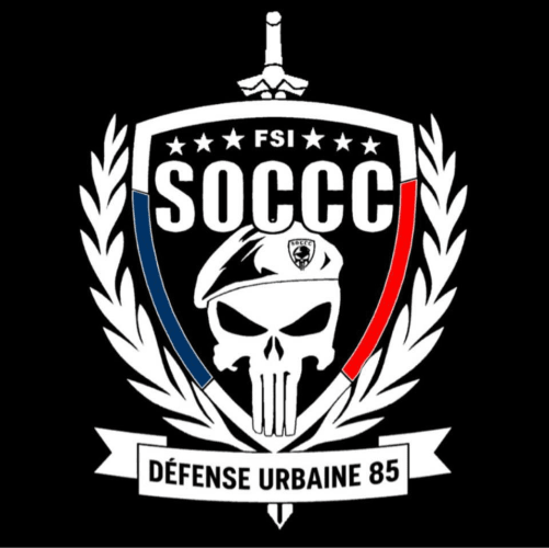 defenseurbaine85.fr